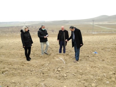 Malatya'da Dut Üretimi Yayginlasiyor