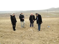 Malatya'da Dut Üretimi Yayginlasiyor