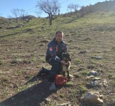 Uçurumda Mahsur Kalan Keçiyi AFAD Kurtardi