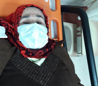 Aydin'da Sokak Köpekleri Yasli Kadini Hastanelik Etti
