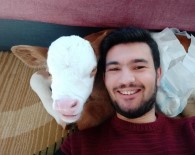 Erken Dogan Buzagiya Anne Sefkati, Ayaginda Sallayip Ninni Söyleyerek Uyutuyor