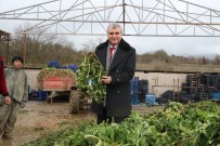 Sakarya Tarimina Ivme Katacak Projede Sona Gelindi