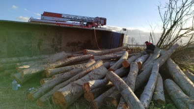 Tomruk Yüklü Kamyon Devrildi, Sürücünün Burnu Bile Kanamadi
