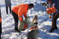 Varto'da Sokak Hayvanlari Için Beslenme Alanlari Olusturuldu