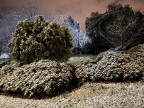 Anadolu Yakasi'nda Kar Yagisi Etkili Oldu
