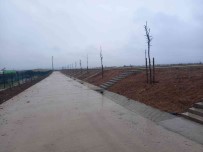 Demirciler Köyü Mezarligi Agaçlandirildi