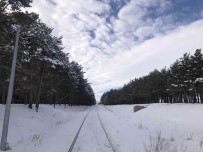 Kars'ta Kartpostallik Kis Görüntüleri