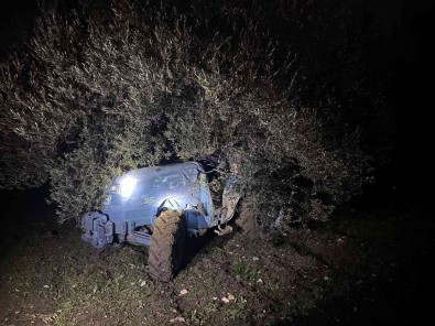 Tarlasindaki Zeytin Agaci Hayatina Mal Oldu