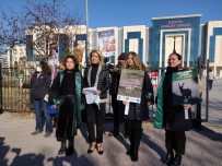 Anadolu Yaban Koyunu Ve Yaban Keçilerinin Akibeti 15 Gün Içinde Belli Olacak