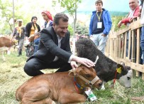 Balikesir Büyüksehir Belediyesi'nden Üreticiye 15 Milyon Destek