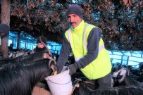 Huzur Ve Güven Ortamiyla Köyüne Geri Dönen Çiftçinin Yüzünü Güldürdü
