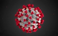 FAHRETTİN KOCA - Koronavirüs vaka haritası açıklandı