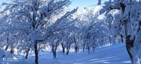 Meteorolojiden Batman Ve Çevre Ileri Için Kar Uyarisi Geldi