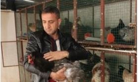 Paraya para demiyor! 500 dolarlık horoz!