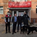 Tepebasi'nda 7 Ayda Bin 123 Köpek Kayit Altina Alindi