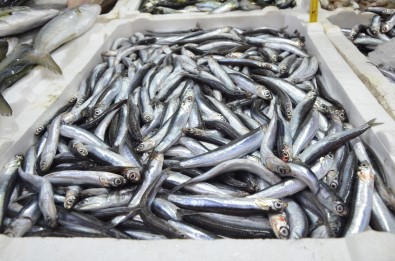 Yerli Hamsi Kendini Tezgahlarda Pahali Gösterdi Açiklamasi Kilosu 50 Lira