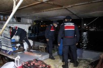 Izmir'de Dev Uyusturucu Operasyonu Açiklamasi 11 Ilçede Es Zamanli Safak Baskini