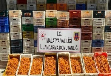 JASAT Suçlulara Göz Açtirmadi