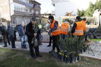 Üreticilere 'Gelecege Nefes Ol' Slogani Ile Binlerce Fidan Dagitildi