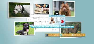 Eskisehir'de 355 Tehlikeli Irk Kayit Altina Alindi