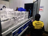 Ordu'da 2,5 Ton Baliga El Konuldu