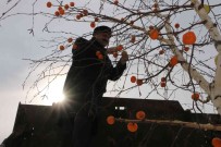 Osmanlinin Ince Gelenegi Burada Yasatiliyor