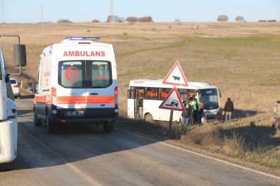 Yolcu Otobüsü Tarlaya Uçtu Açiklamasi 8 Yarali
