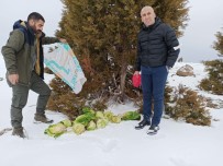Bingöl'de Yaban Hayvanlari Için Dogaya Yem Birakildi