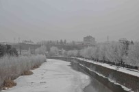 Kars'ta Agaçlar Kiragi Tuttu