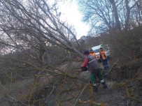 Siddetli Rüzgar Agaçlari Devirdi