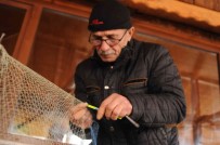 Balikçilar Yunuslarin Aglara Verdigi Yaralari Sariyor