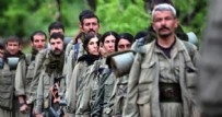 GÜNEY KIBRIS RUM KESİMİ - Güney Kıbrıs PKK'ya temsilcilik açma izni verdi