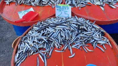 Tekirdag'da Hamsi 25 TL'ye Kadar Düstü