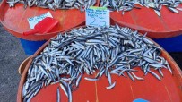 Tekirdag'da Hamsi 25 TL'ye Kadar Düstü