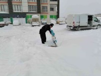 Yesilyurt'ta Sokak Hayvanlari Unutulmadi