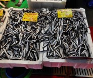 Hava Sogudu, Balik Tezgahlari Senlendi