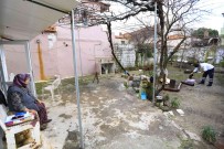 Kirsaldaki Çinarlara Evlerinde Hizmet