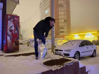 Mardin Büyüksehir Belediyesinden Sokak Hayvanlarina Düzenli Mama Dagitimi