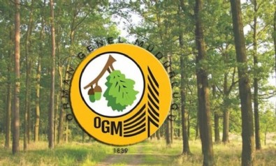 OGM İşçi Alımı Ne Zaman? Orman Genel Müdürlüğü İşçi Alımı Başvuru Şartları