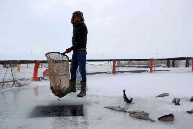Sivas'ta Kutuplari Aratmayan Görüntü
