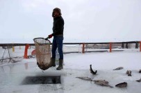 Sivas'ta Kutuplari Aratmayan Görüntü