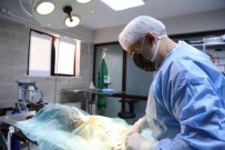 Agir Yaralanan Köpek Için Itfaiye Ekipleri Seferber Oldu