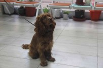 Bakamayan Sokaga Terk Ediyor