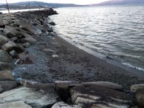 Bandirma'da Deniz Çekilmesi Üç Gündür Devam Ediyor