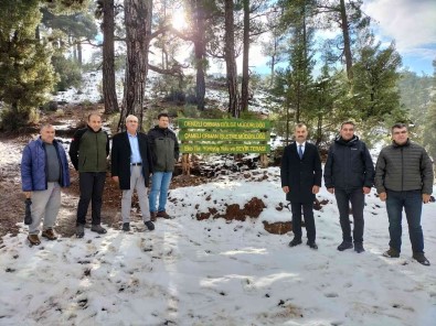 Çameli'de Ekoturizm Yürüyüs Yolu Hayat Buluyor