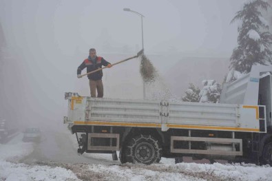 Hem Kar Kürendi Hem De Sokak Hayvanlarina Yiyecek Birakildi