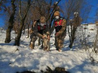 Jandarma Donmak Üzere Olan Köpegi Kurtardi