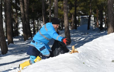 Kahramanmaras'ta Sokak Hayvanlari Unutulmadi