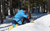 Kahramanmaras'ta  Sokak Hayvanlari Unutulmadi