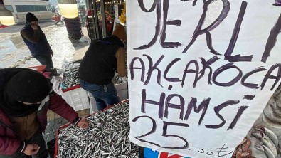 Kar Yagdi, Hamsi Karadeniz'e Geri Döndü